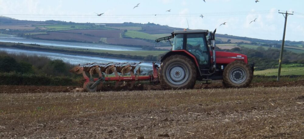 kingsbridge frogmore walk banner image (6)